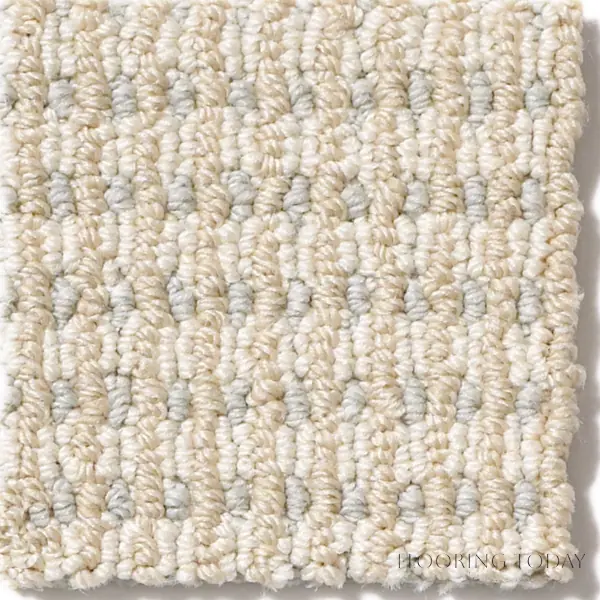 Anderson Tuftex carpet swatch sample
